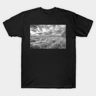 Arable field in the Norfolk countryside T-Shirt